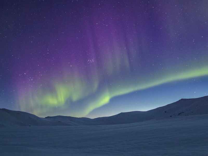 Talking to Our Selves: Serpentine by Philip&nbsp;Pullman