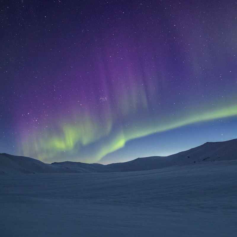 Talking to Our Selves: Serpentine by Philip&nbsp;Pullman